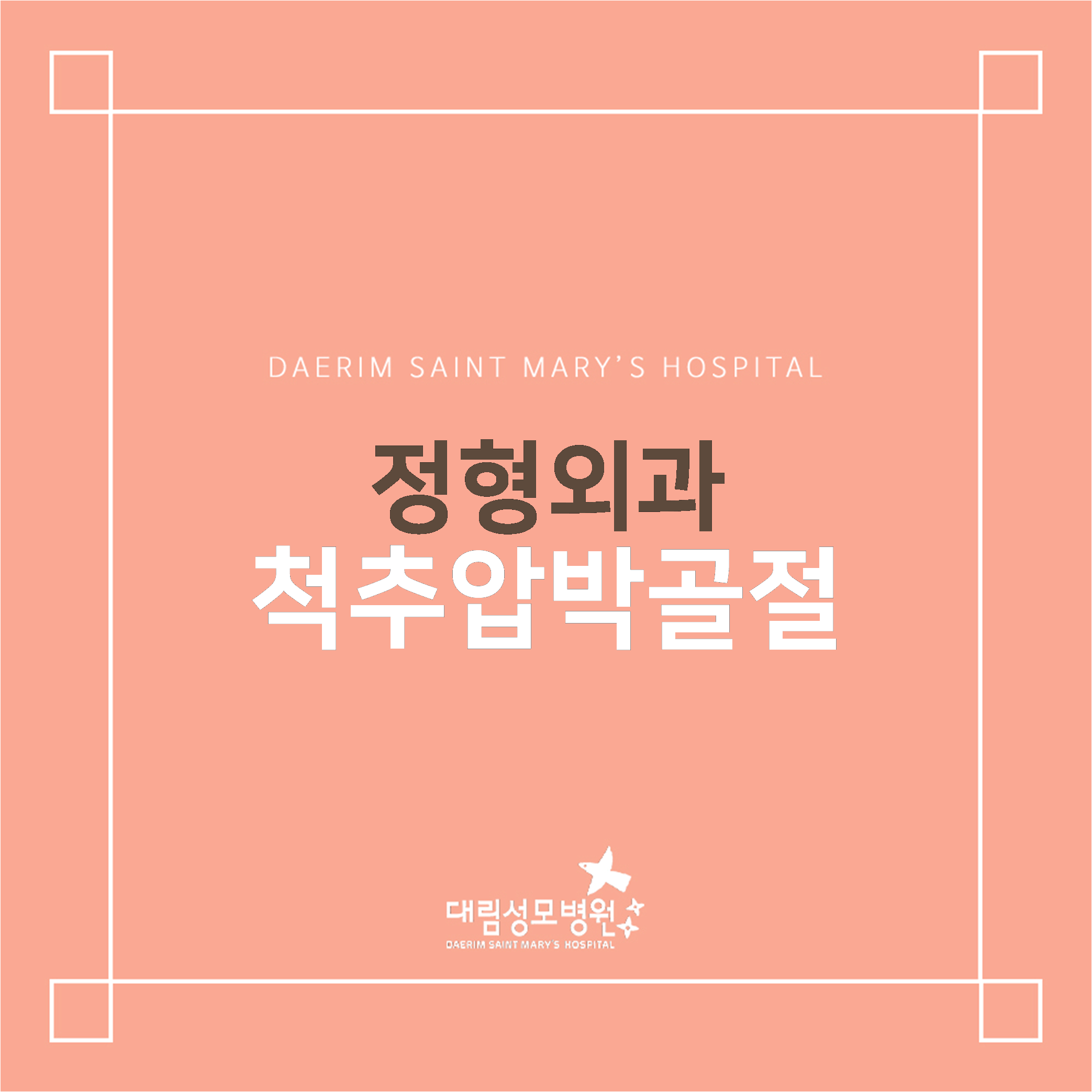 [정형외과]척추압박골절  