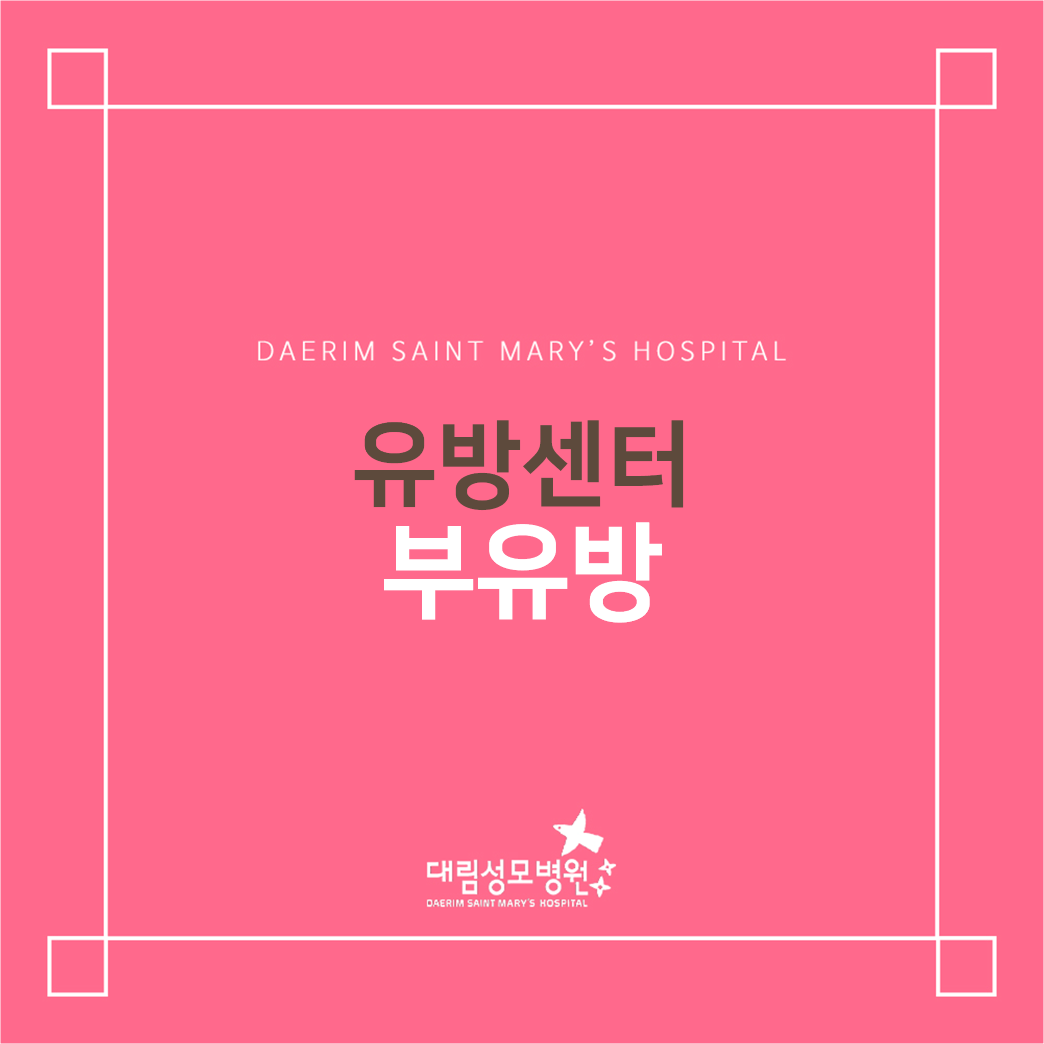 [유방센터] 부유방  