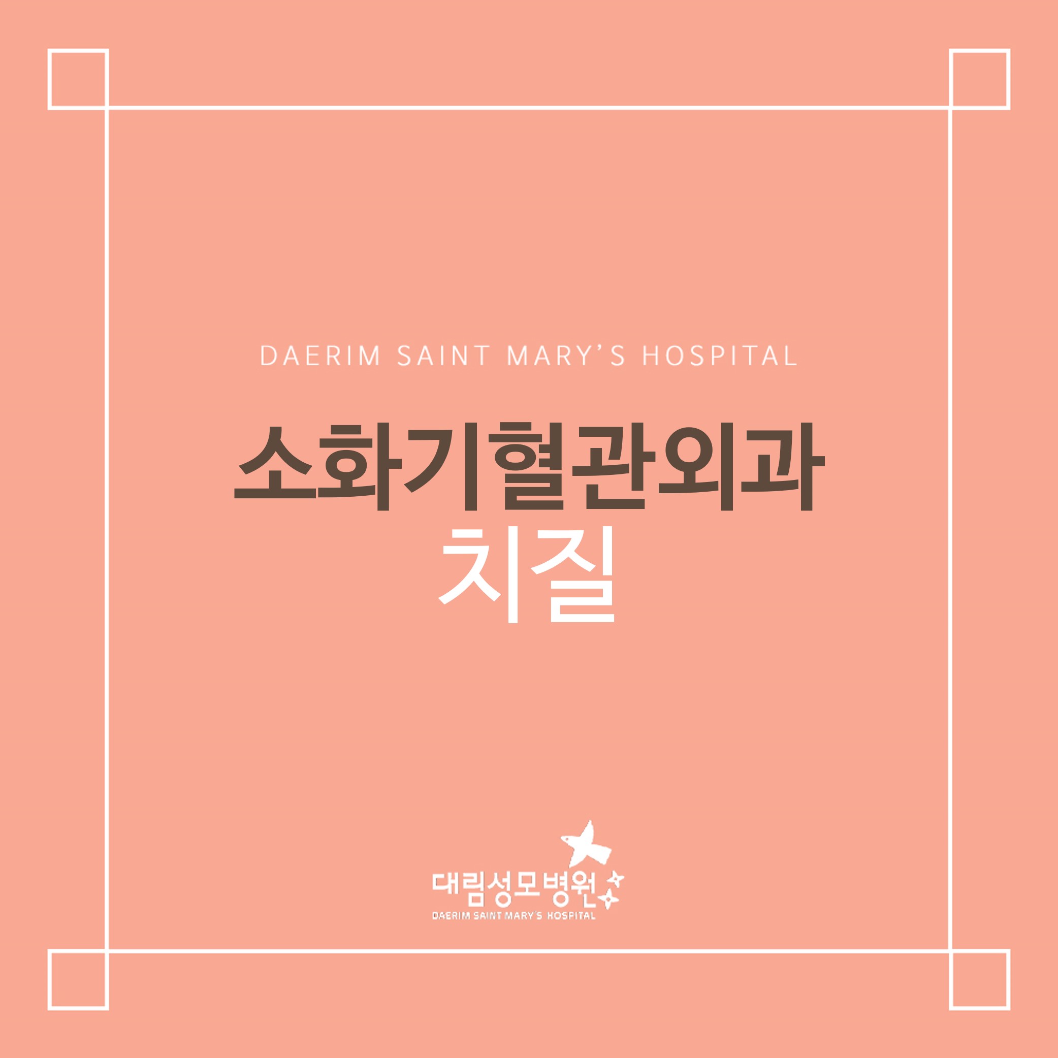 [소화기혈관외과] 치질  