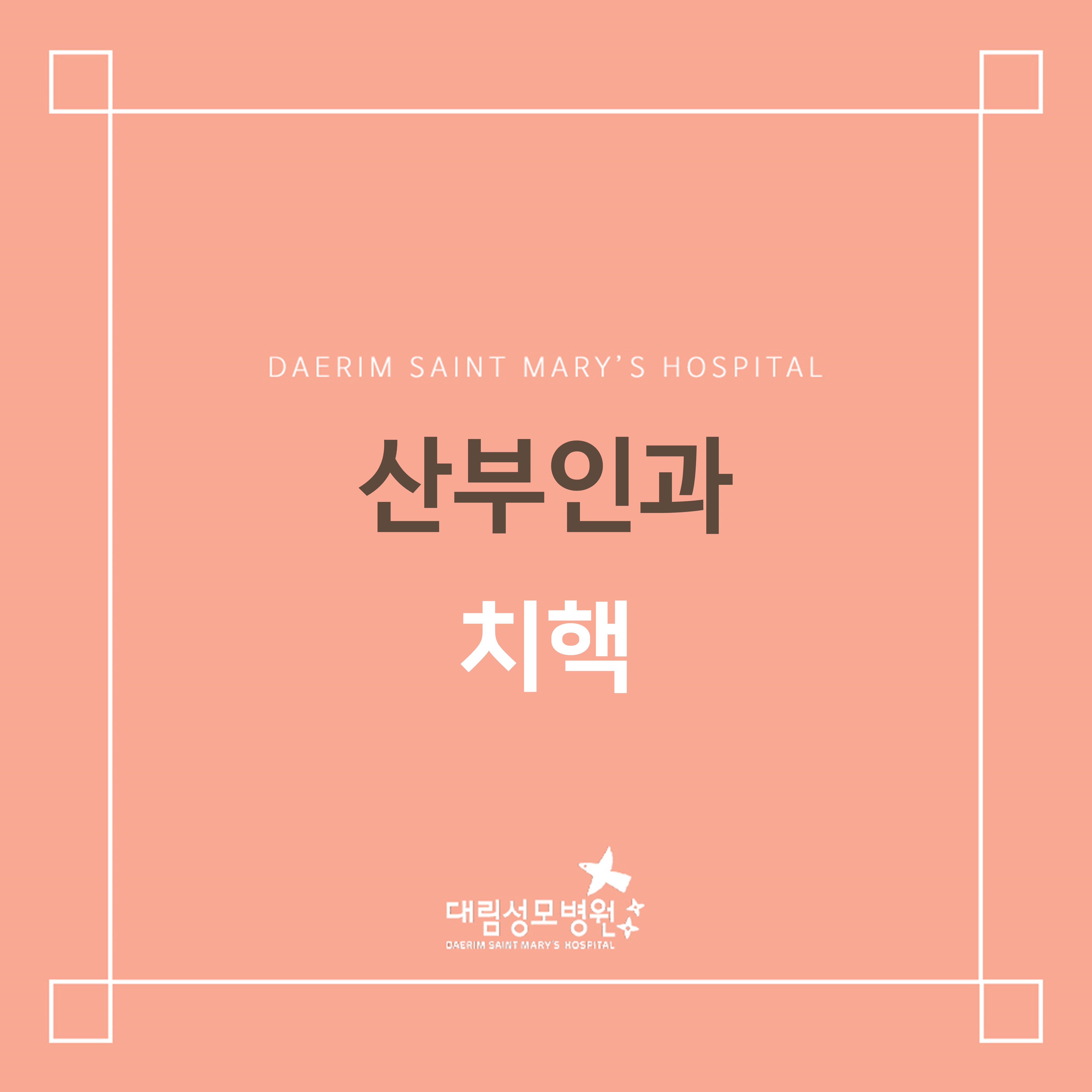 [산부인과] 치핵  