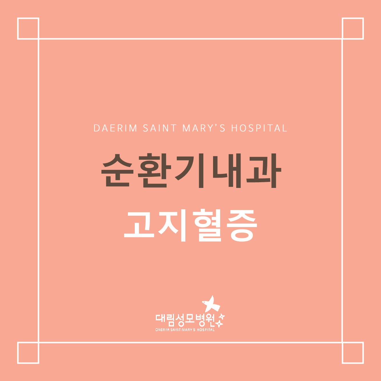 [순환기내과] 고지혈증  