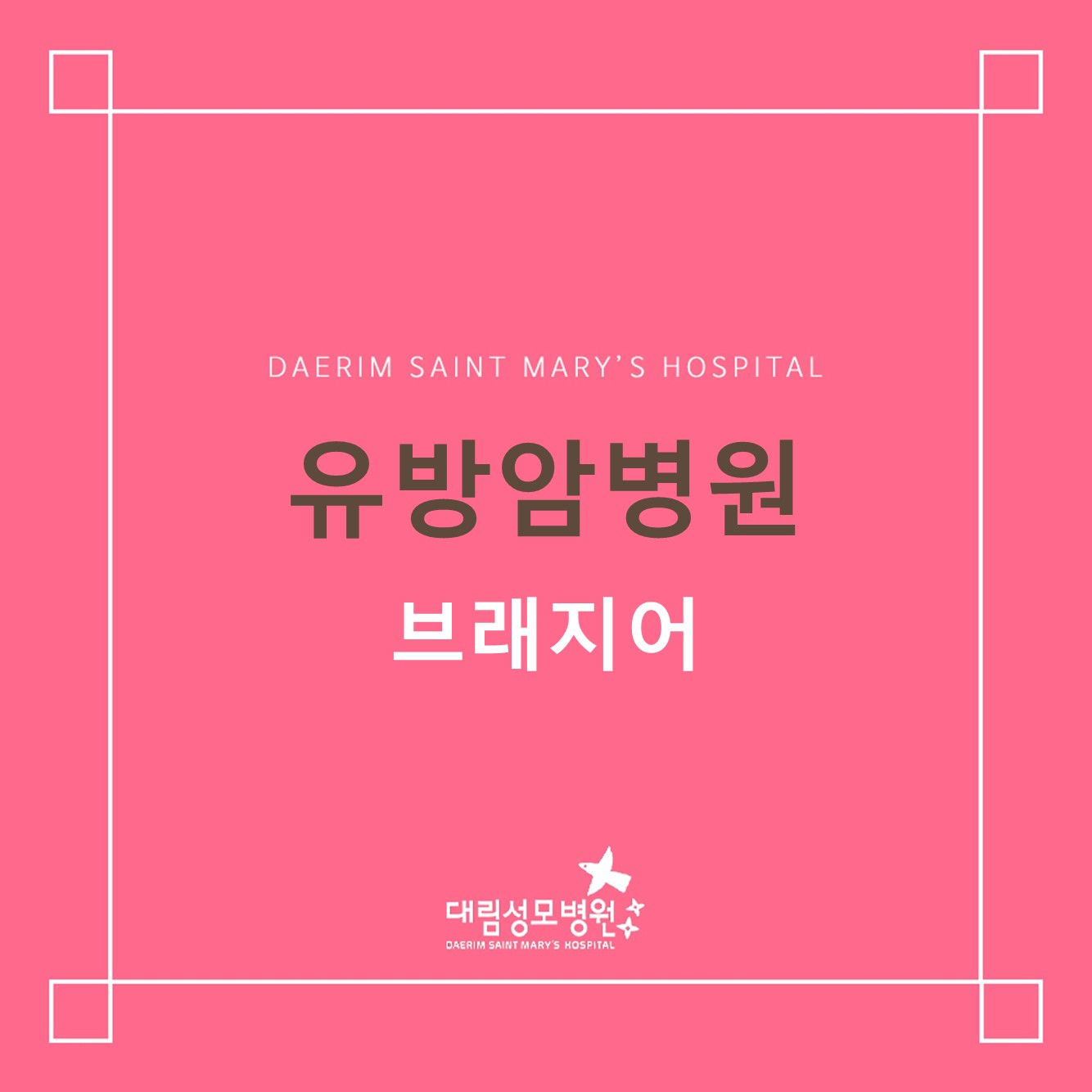 [유방암병원] 브래지어  