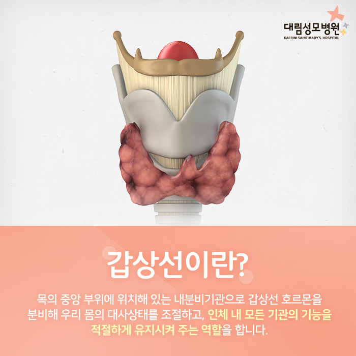 [갑상선센터] 갑상선암 초기증상과 수술 2.jpg
