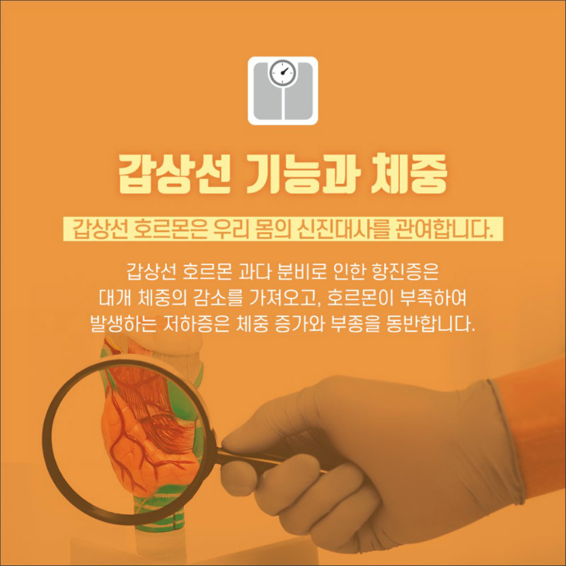 [갑상선센터] 다이어트 2.jpg
