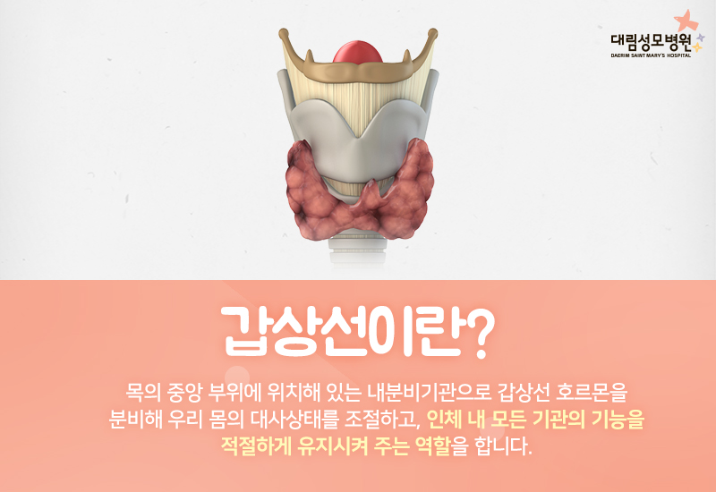 [갑상선센터] 갑상선 질환 2.jpg