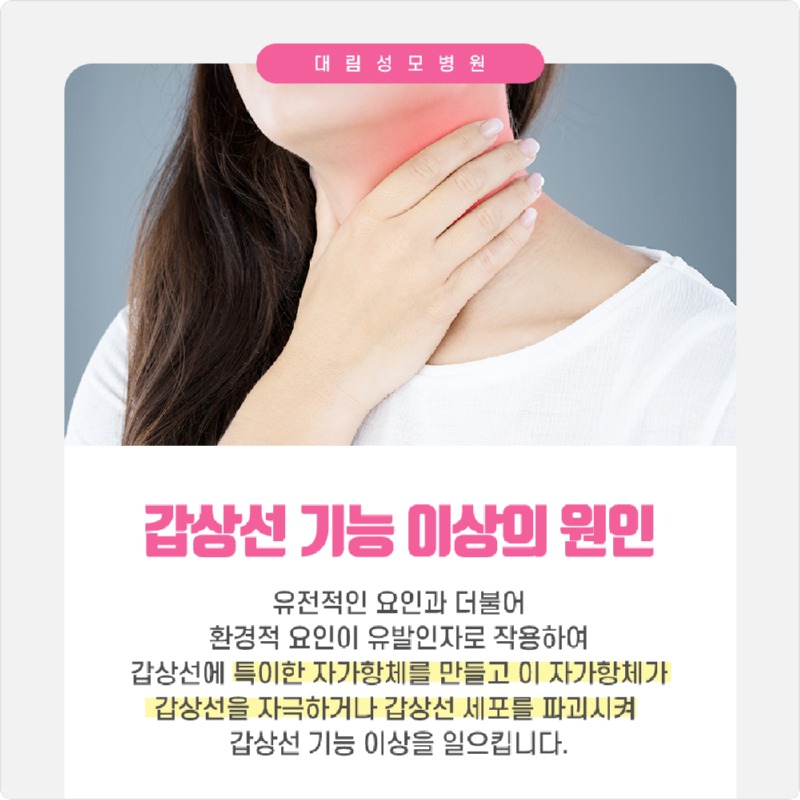 230224_갑상선질환_03.jpg