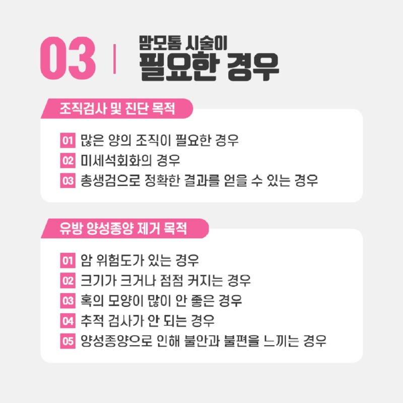 230410_맘모톰_04.jpg