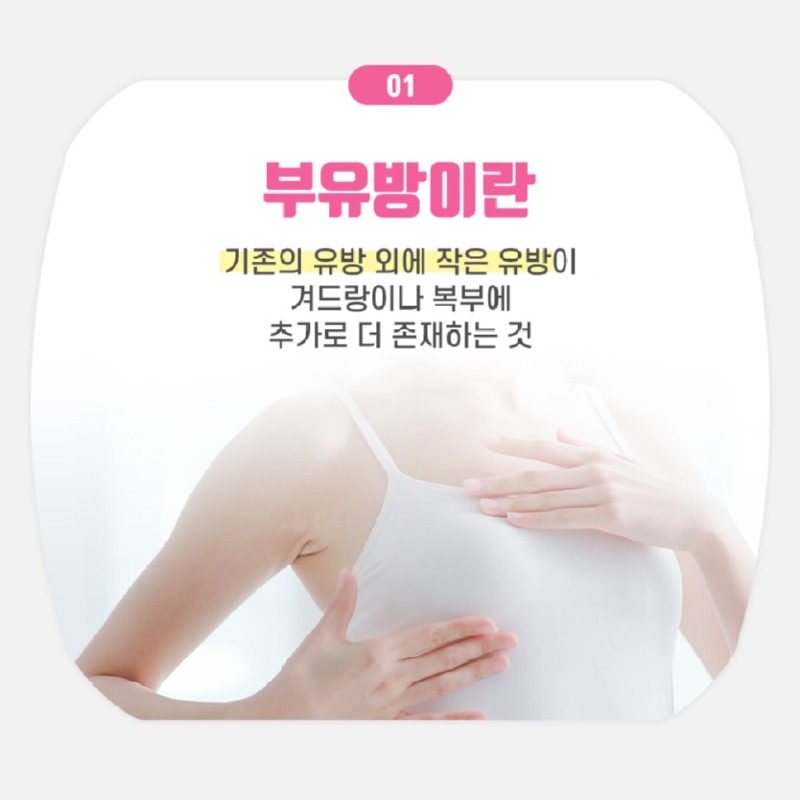 230428_부유방_02.jpg