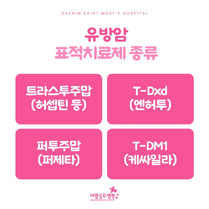 241111_대림성모병원_바이럴_표적치료_(4).jpg
