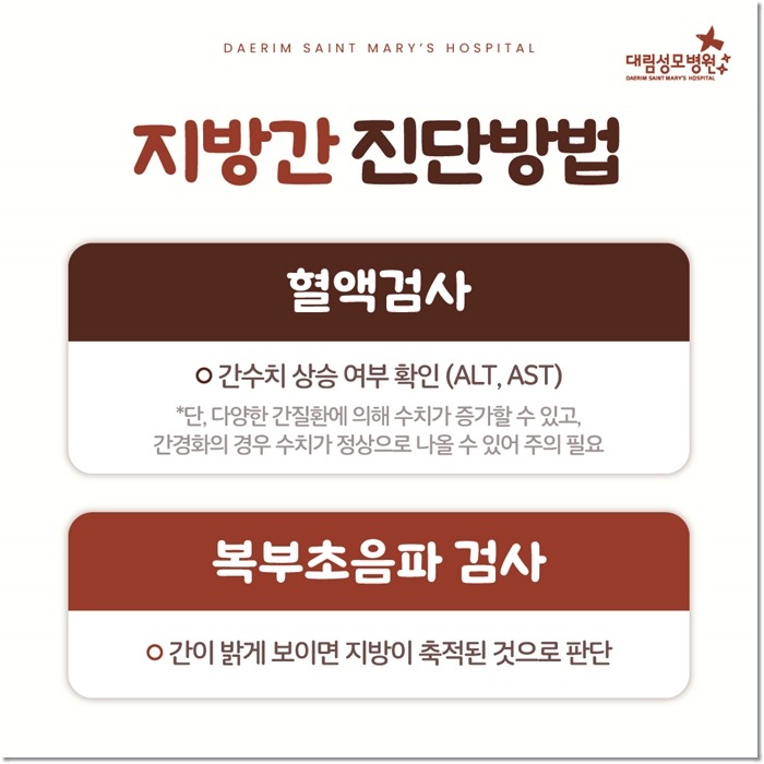 250225_대림성모병원_바이럴_지방간_(6).jpg